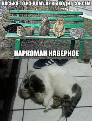 Прикрепленное изображение: HLjYyLM6gJk.jpg